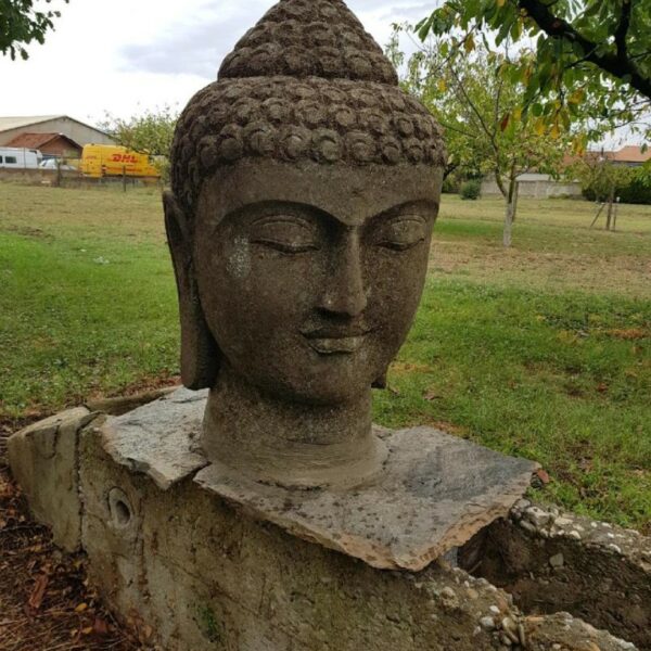 Statue buste Bouddha en pierre volcanique posée sur un muret extérieur, entourée de verdure. Parfaite pour un jardin zen ou un espace méditatif extérieur.