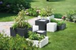 POT COSBO CUBE