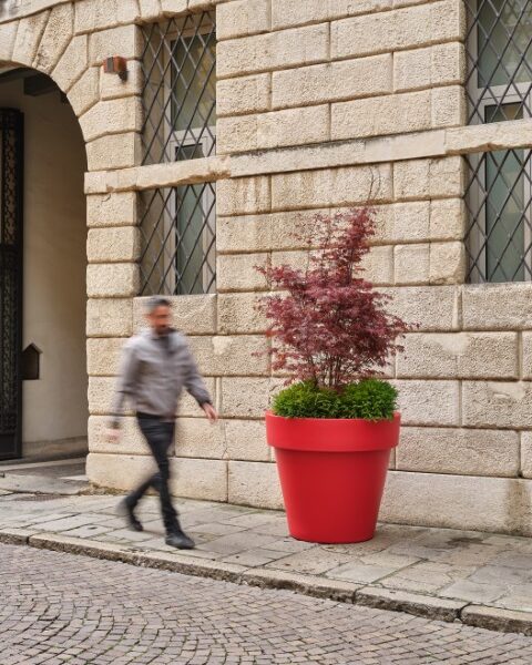 COSBO Standard - Couleur Rouge (Petit)