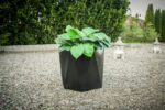 POT PIDY HEXAGON D57